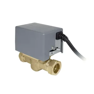 Vană motorizată cu 2 căi și micro-contact, filet 1''